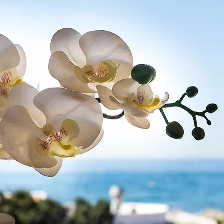 Sea Front In Marbella