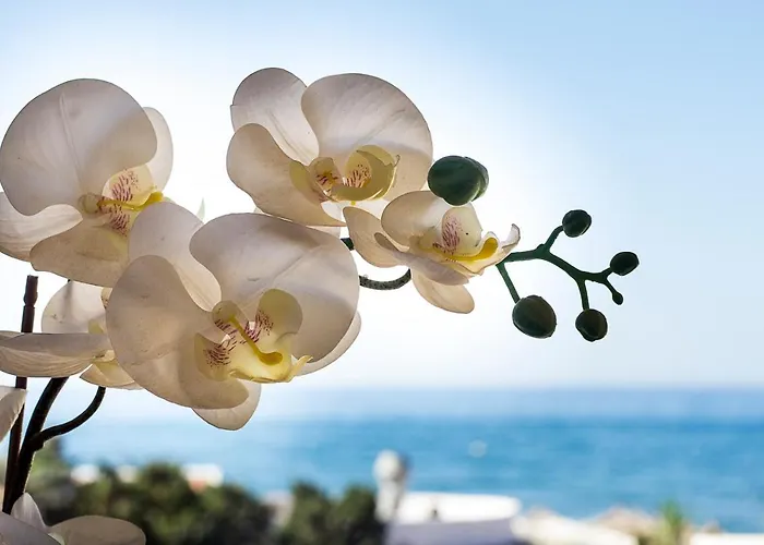 Sea Front In Marbella